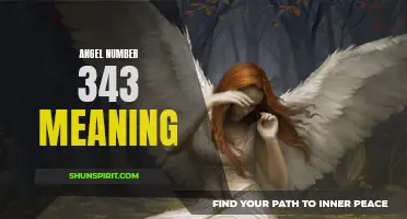 Discover the Spiritual Significance of Angel Number 343