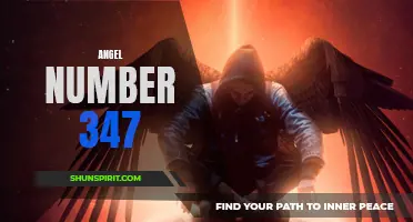 Discover the Meaning Behind Angel Number 347!