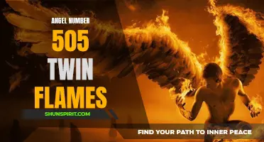 Discover the Meaning of Angel Number 505 for Twin Flames