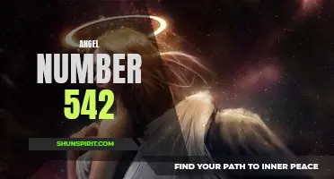 Unlock the Meaning Behind Angel Number 542