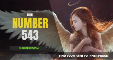 Uncover the Meaning Behind Angel Number 543