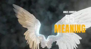 Uncovering the Hidden Meaning Behind Angel Number 55