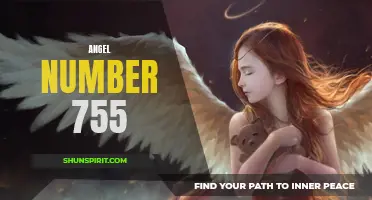 Unlock the Meaning of Angel Number 755 - What it Means for Your Life!