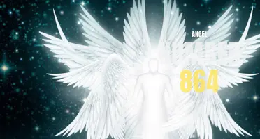 Unlock the Meaning of Angel Number 864: What it Means for You