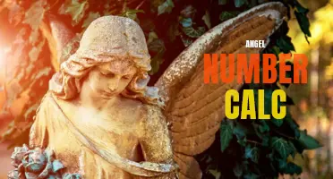 Discover the Meaning Behind Your Angel Number with a Calculation!