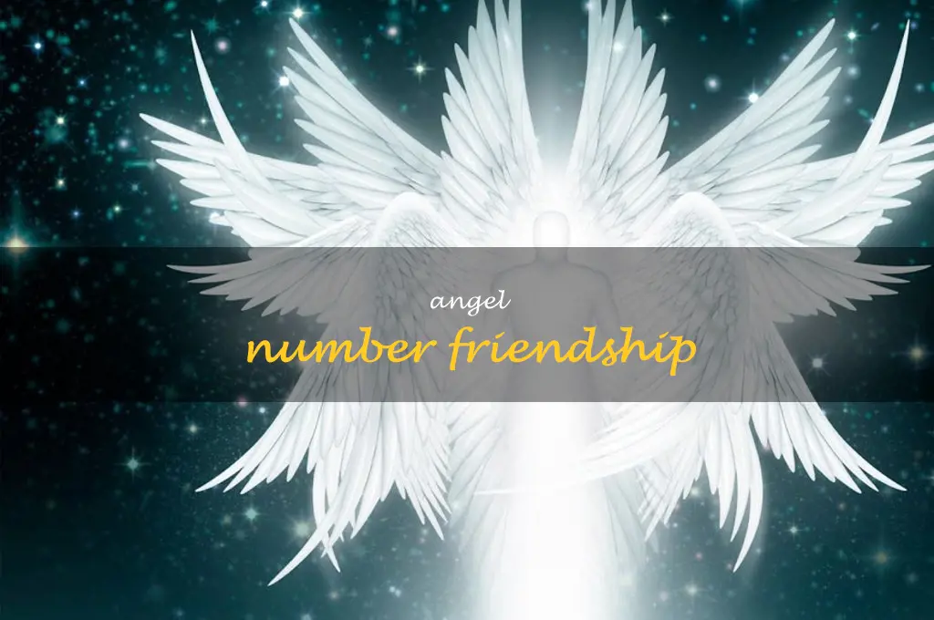 angel number friendship