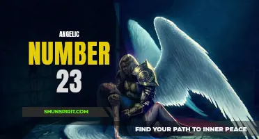 The Mysterious Power of Angelic Number 23