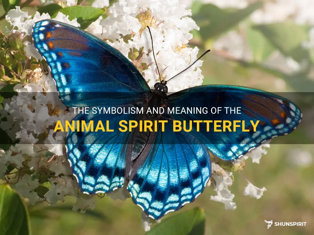 animal spirit butterfly