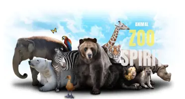 The Magical Spirits of the Animal Zoo: A Journey Within