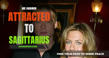 The Magnetic Attraction between Aquarius and Sagittarius: Exploring the Compatibility