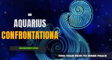 Unveiling Aquarius: Exploring Their Confrontational Nature