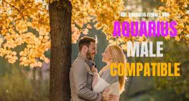 Are Aquarius Female and Aquarius Male Compatible? Exploring the Compatibility of Two Aquarius Signs