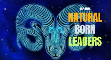 Are Aries Natural Born Leaders?