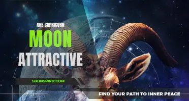 Why Capricorn Moon Individuals Are Irresistibly Attractive