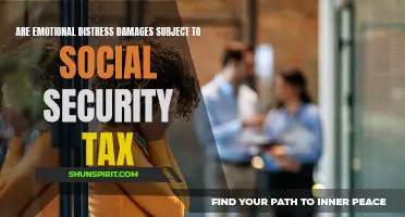 Understanding the Tax Implications of Emotional Distress Damages in Social Security Cases