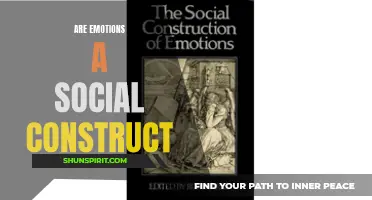 Exploring the Role of Society in Constructing Emotions: Are Emotions Truly a Social Construct?