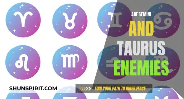 Gemini and Taurus: Are They Natural Enemies or Potential Friends?