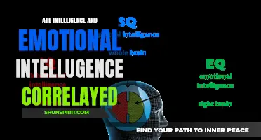 The Connection Between Intelligence and Emotional Intelligence: Exploring the Correlation