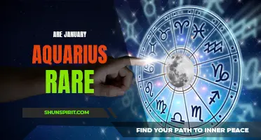 Exploring the Rarity of Aquarius Individuals Born in the Month of January
