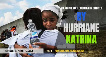 The Lingering Emotional Impact of Hurricane Katrina on Individuals