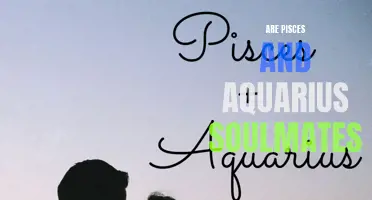 Exploring the Possibility of a Strong Connection: Are Pisces and Aquarius Soulmates?