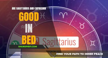 The Astrological Compatibility: Are Sagittarius and Capricorn Good in Bed?