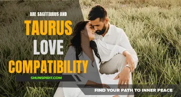 The Compatibility Between Sagittarius and Taurus: Exploring Love and Differences
