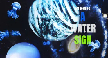 Scorpio: Unveiling the Mysterious Water Sign