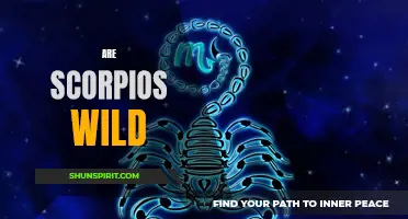 Unveiling the Enigma: Exploring the Wild Nature of Scorpios