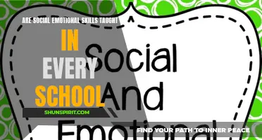 The Importance of Teaching Social Emotional Skills in Every School