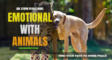 Why Emotional Intelligence Plays a Key Role in Our Relationship with Animals