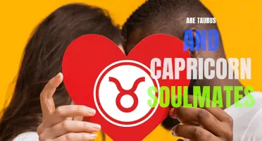 Unlocking the Cosmic Connection: Exploring the Compatibility of Taurus and Capricorn as Soulmates