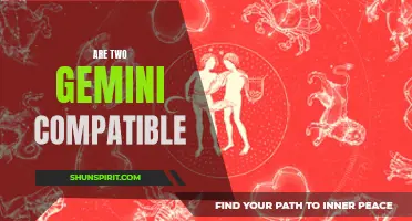 Are Gemini and Gemini Compatible? Exploring the Zodiac Compatibility of Two Gemini Signs
