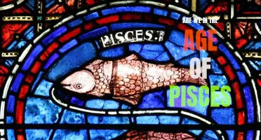 The Significance of the Age of Pisces in Today's World