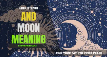 The Significance of Astrology Rising and Moon Meaning