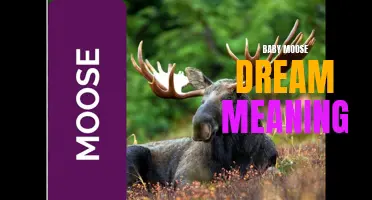 The Meaning of Dreaming about Baby Moose: Explained in 8 Words