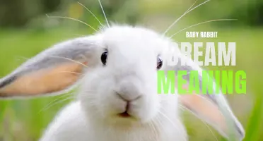 The symbolic meaning behind dreaming of a baby rabbit