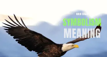 The Symbolic Meaning and Significance of the Bald Eagle