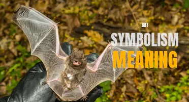 The Mystical Meanings Behind Bat Symbolism