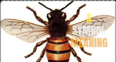 The Symbolic Meaning of Bees: Connecting Nature and Community
