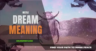 The symbolic significance of beetles in dreams: Exploring their hidden messages