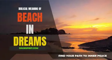 Biblical Insight: The Symbolic Meaning of Beach in Dreams
