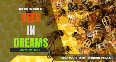 The Symbolic Significance of Bees in Biblical Dream Interpretation
