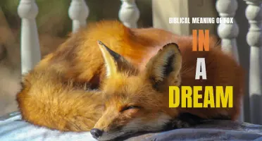 The Biblical significance of dreams featuring a fox
