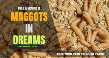 The biblical interpretation of maggots in dreams and their significance