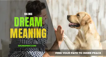 The Meaning of Big Dog Dreams