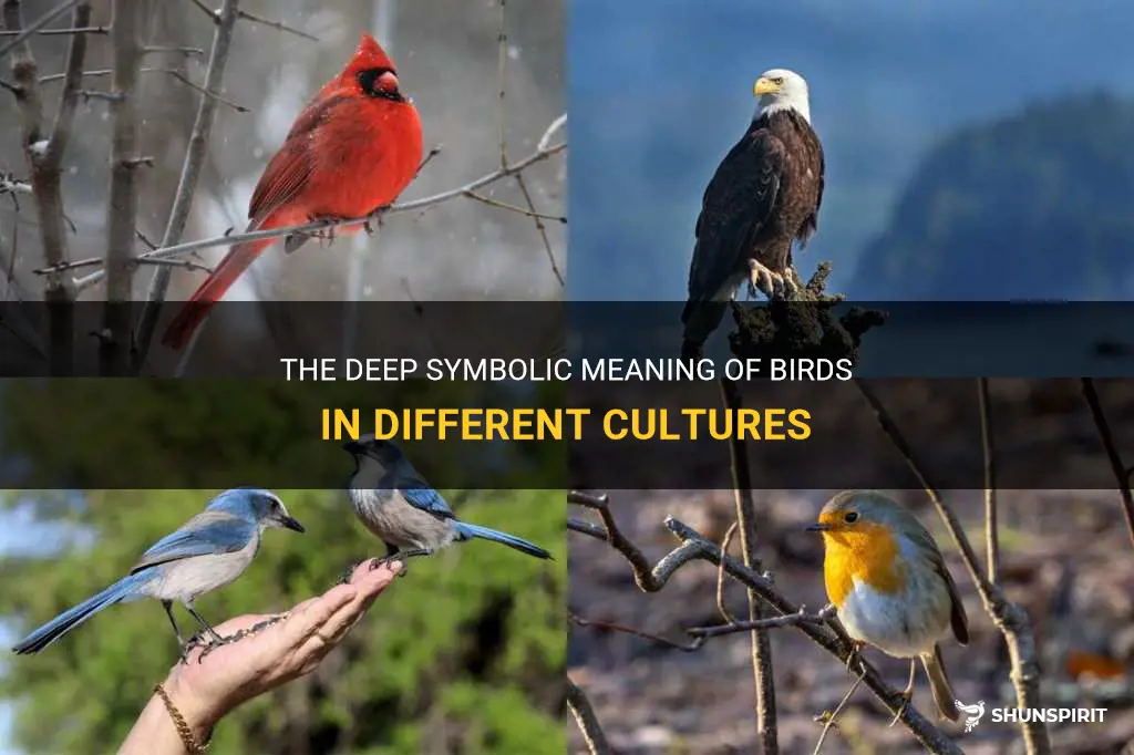 bird symbolic meaning