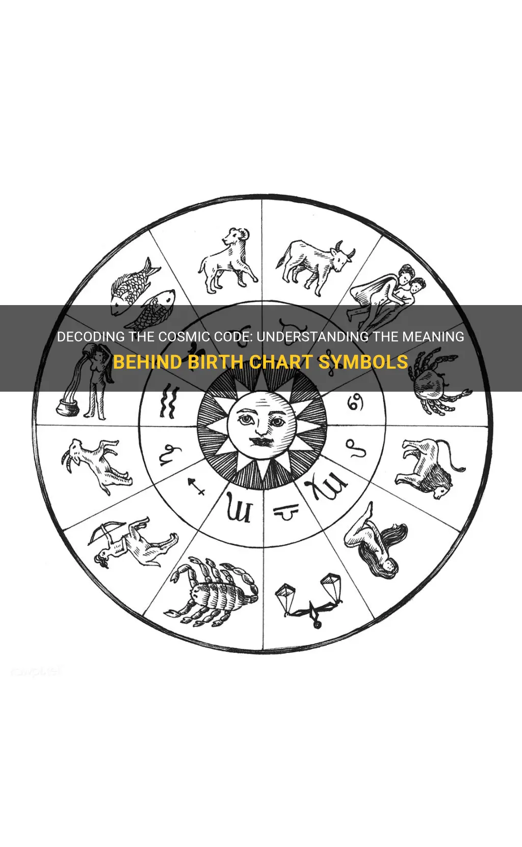 birth chart symbols meaning