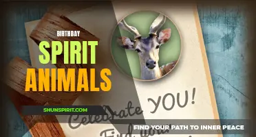 Unleashing the party animal within: Birthday spirit animals revealed