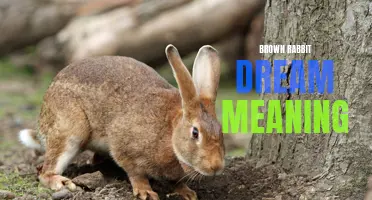 The symbolic meaning behind dreaming of a brown rabbit